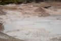 Landscape of mud pots at Fountain Paint Pots in Yellowstone National Park Royalty Free Stock Photo