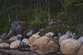 landscape multicolored stones stones grass land forest nature