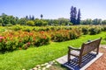 Landscape in the Municipal Rose Garden, San Jose, California Royalty Free Stock Photo