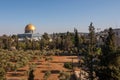 Landscape of muslim Al Aqsa mosque in Jerusalem