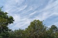 Landscape Mystic Nature in mountain area