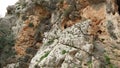 Landscape in Nahal (creek) Oren, at the west side of Mount Carmel Royalty Free Stock Photo