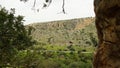 Landscape in Nahal (creek) Oren, at the west side of Mount Carmel Royalty Free Stock Photo
