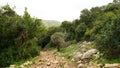 Landscape in Nahal (creek) Oren, at the west side of Mount Carmel Royalty Free Stock Photo