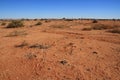 Landscape Namaqualand Northern Cape Province of South Africa Royalty Free Stock Photo