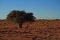 Landscape Namaqualand Northern Cape Province of South Africa Royalty Free Stock Photo