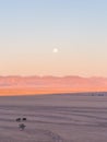 Landscape in Namib-Naukluft National Park, Namibia, Africa Royalty Free Stock Photo