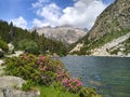 National Park of AigÃÂ¼estortes and Lake Saint Mauricio Royalty Free Stock Photo