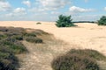 Landscape in National Park Hoge Veluwe. Royalty Free Stock Photo