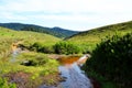 Landscape of National Park Horton Plains Royalty Free Stock Photo