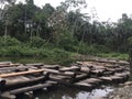 Landscape of national park Manu in Peru, natural outdoor background of rainforest, wooden boats, trees, plants, leaves. Green