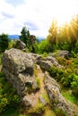 Landscape in the National park Sumava, Czech republic. Royalty Free Stock Photo