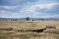 Landscape of natural park of Delta del Ebro Royalty Free Stock Photo