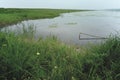 Landscape: Natural pasture pond with grass and reflection