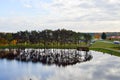 Landscape of natural trees and reflections of trees in the water of the pond lake river Royalty Free Stock Photo