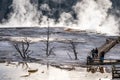 The landscape nature around Mammoth hot springs in Yellowstone national park in Wyoming , United States of America