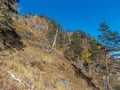 Last throw to the top. The eastern slope of the southern part of the Seaside ridge.