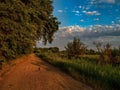 Landscape nature clouds sky vegetation trees evening sunset forest road wide trail winding clouds before the storm Royalty Free Stock Photo