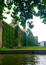 Nature growing plants on walls