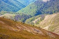 Landscape and nature in the highlands of the Ukrainian Carpathians Royalty Free Stock Photo