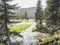 Mountain Stream Serenity: Captivating Landscape of Pine Trees, Spring Flowers, and Majestic Mountain Scenery Royalty Free Stock Photo