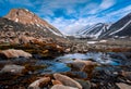 Landscape nature of the mountains of Spitzbergen Longyearbyen Svalbard on a polar day with arctic flowers in the summer Royalty Free Stock Photo