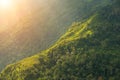 Landscape nature in Phu Thap Boek Thailand