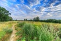 Landscape nature reserve Millingerwaard with basins for overflow river water at high water level