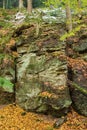 Landscape in the nature reserve Monbachtal