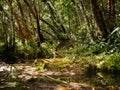 landscape nature in Thailand Royalty Free Stock Photo