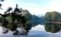 The landscape nature views the lake, castle, and pine trees in the morning in a landscape view