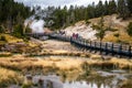 The landscape nature and world famouse geyser in Yellowstone national park in Wyoming , United States of America