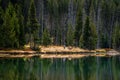 The landscape nature and world famouse geyser in Yellowstone national park in Wyoming , United States of America