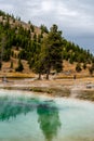 The landscape nature and world famouse geyser in Yellowstone national park in Wyoming , United States of America