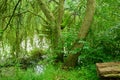 landscape near aalten in the dutch Gelderland