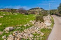 Landscape near Ajloun town, ruins of Rabad castle on the hill, Jorda Royalty Free Stock Photo