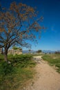 Landscape near the ancient Tiryns, Argolida, Greece