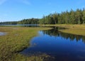 Landscape near Backefors, Dalsland, Sweden. Lake Marsjon and forest