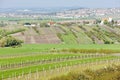 Landscape near Boretice, Czech Repub