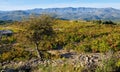 Landscape in the pyrenees mountains