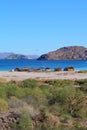 Loreto bays in the sea of baja california sur XXX Royalty Free Stock Photo