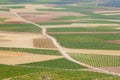 Landscape near Consuegra