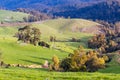 Landscape near Derby in Tasmania Australia Royalty Free Stock Photo