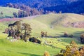 Landscape near Derby in Tasmania Australia Royalty Free Stock Photo