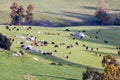 Landscape near Derby in Tasmania Australia Royalty Free Stock Photo