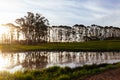 Landscape near Derby in Tasmania Australia Royalty Free Stock Photo