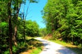 Landscape near Gerosa Lake with a gravel road winding through green vegetation Royalty Free Stock Photo