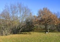 Landscape Near Golo Brdo