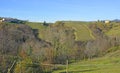 Landscape Near Golo Brdo