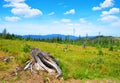 National park Bayerische Wald, Germany.